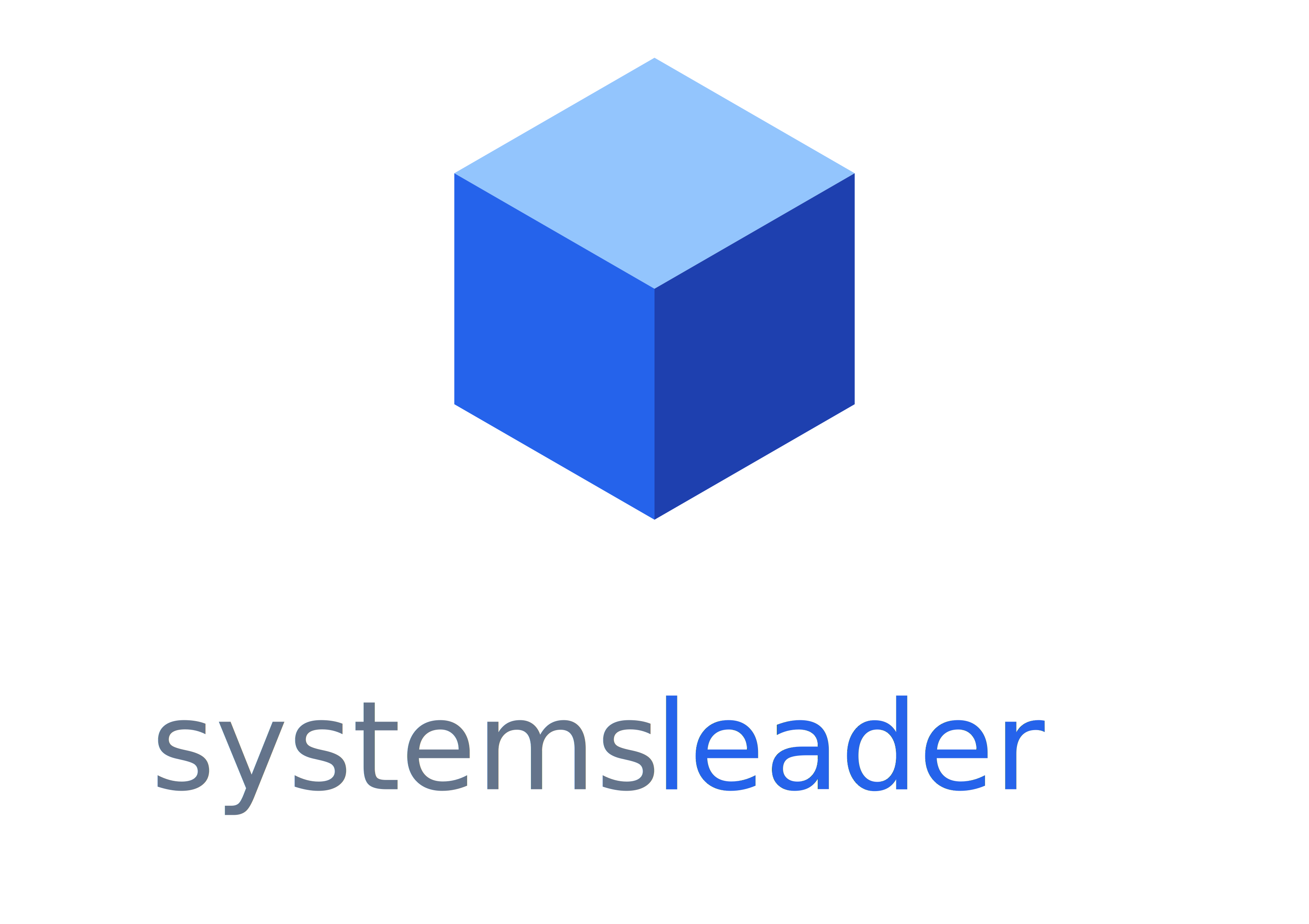 Systems Leader, LLC Logo